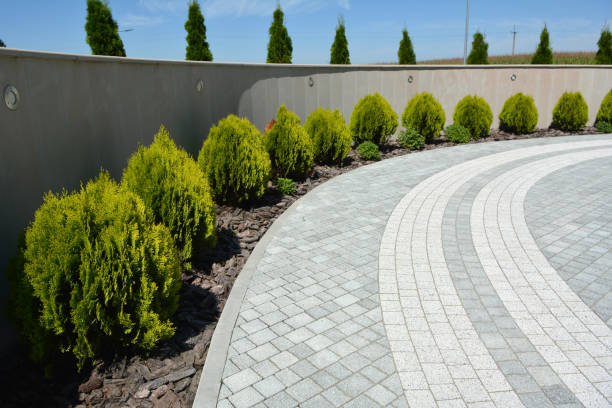 Driveway Repair Near Me in Boyd, TX